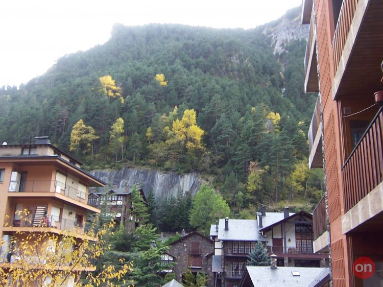 100_8595.JPG